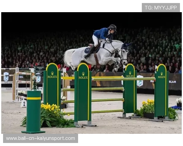 荷兰马术协会举办马术运动员国际交流活动，促进文化互鉴。，荷兰马术考级标准